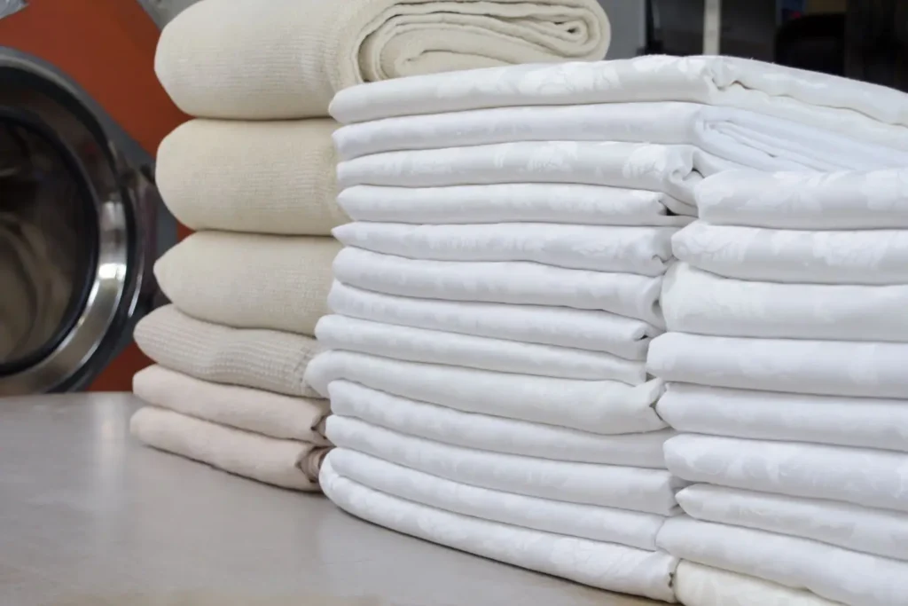 Wash and Fold Service